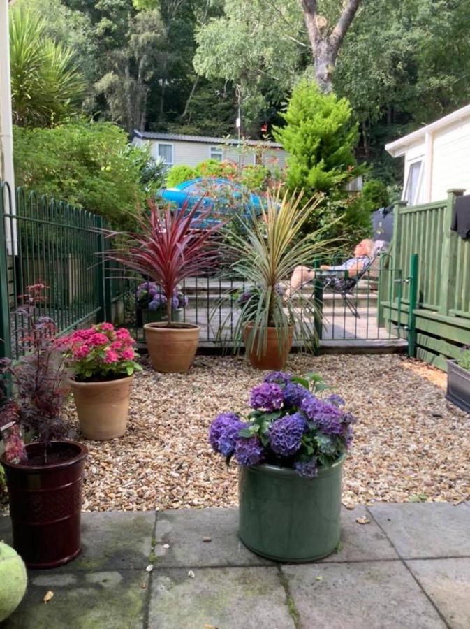 Hotel 173A Woodland Way Porthmadog Esterno foto