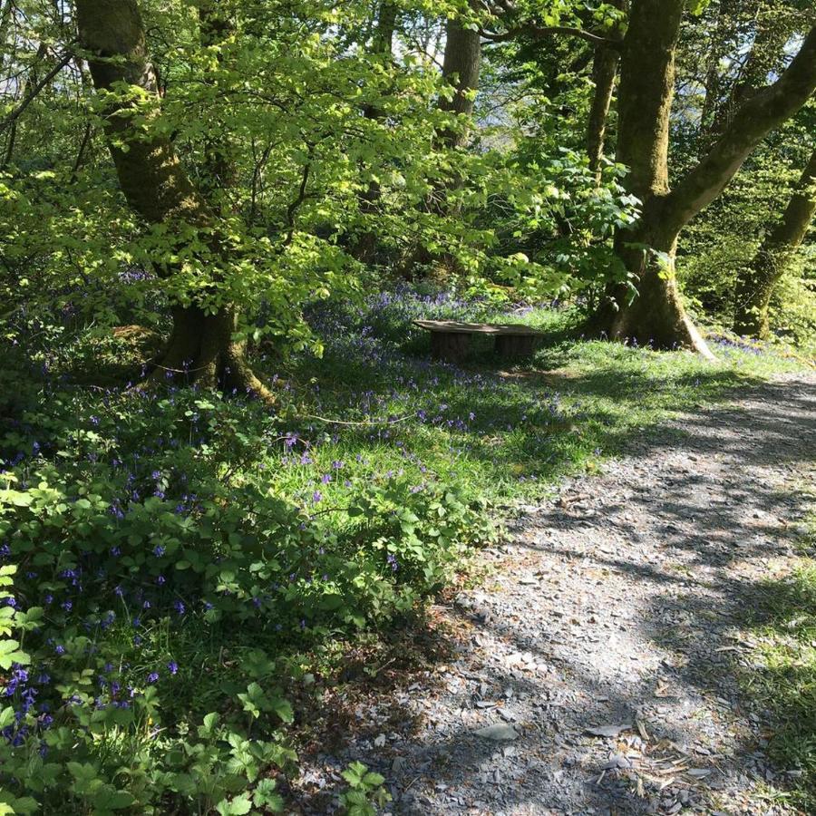 Hotel 173A Woodland Way Porthmadog Esterno foto